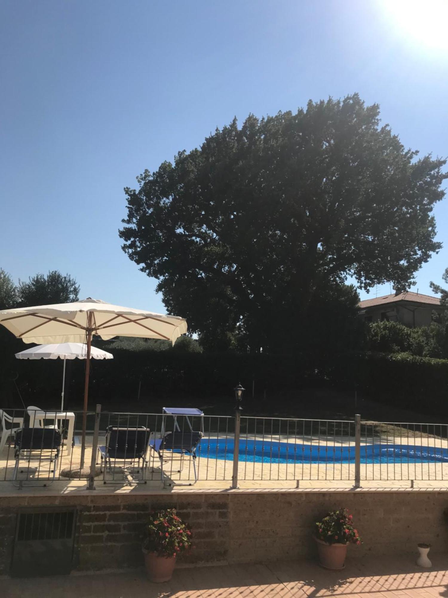 Agriturismo Cerquatonda Montalto delle Marche Екстериор снимка