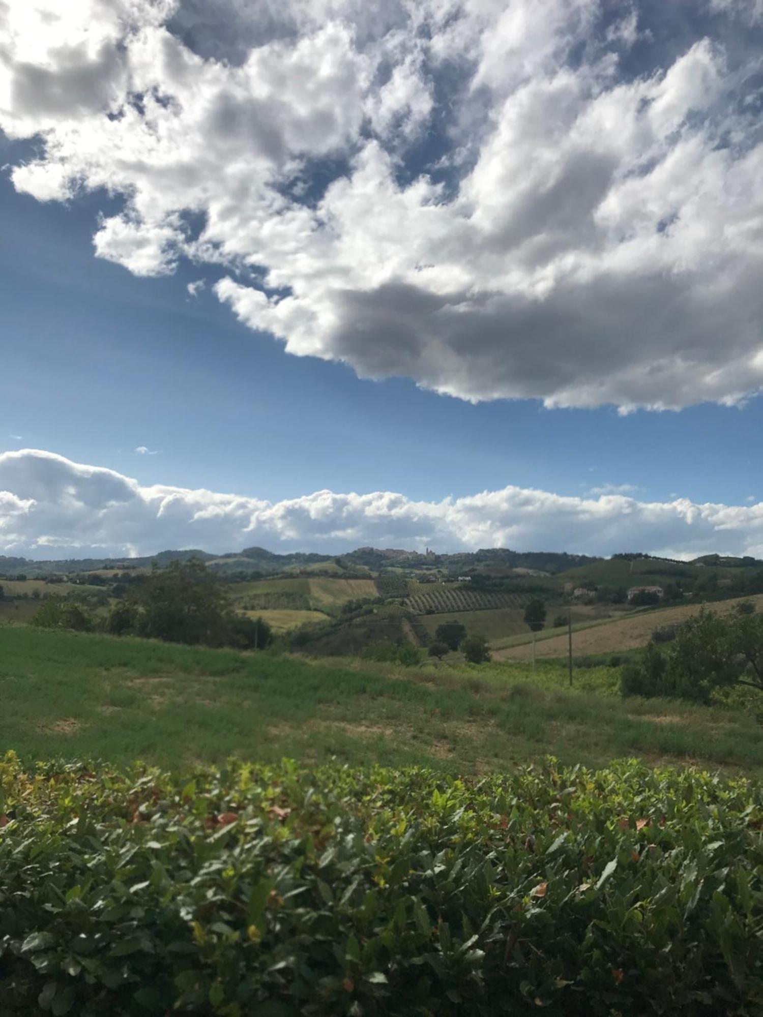 Agriturismo Cerquatonda Montalto delle Marche Екстериор снимка