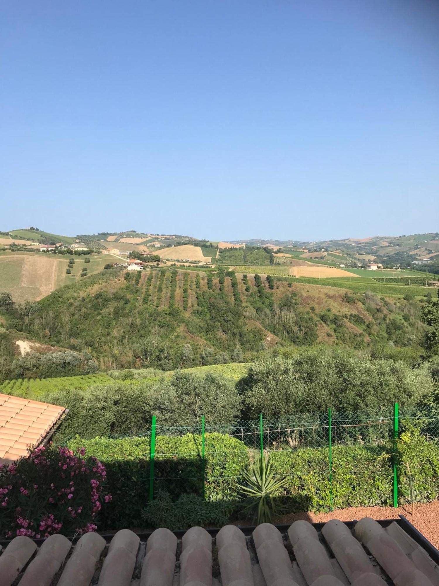 Agriturismo Cerquatonda Montalto delle Marche Екстериор снимка