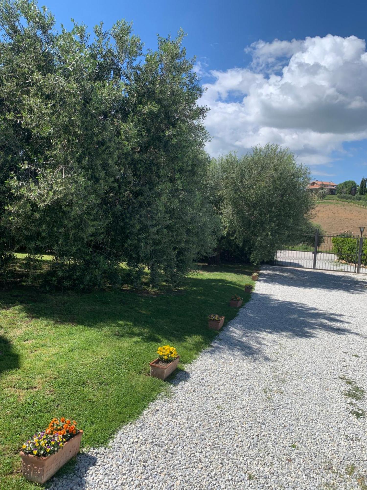 Agriturismo Cerquatonda Montalto delle Marche Екстериор снимка
